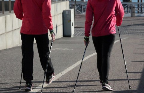 KIJ TREKKINGOWY KIJEK DO CHODZENIA PO GÓRACH NORDIC WALKING ROZSUWANE KIJKI