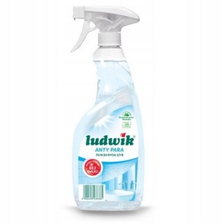 PŁYN DO SZYB LUDWIK 600ML ANTYPARA