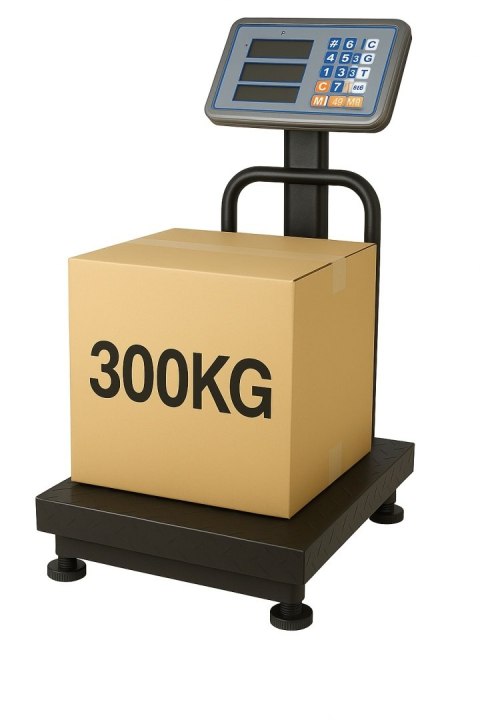 Waga 300 kg 40x50 + oparcie
