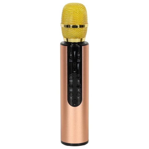 Mikrofon bezprzewodowy karaoke dla dzieci głośnik Bluetooth 2000mAh karta SD USB wysoka jakość złoty