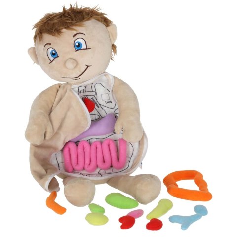 Lalka maskotka zabawka edukacyjna nauka anatomii chłopiec