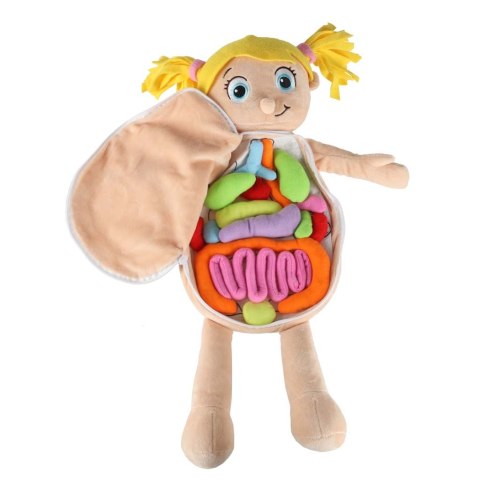 Lalka maskotka zabawka edukacyjna nauka anatomii dziewczynka